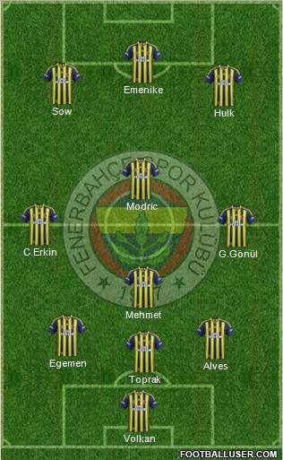 Fenerbahçe SK Formation 2014