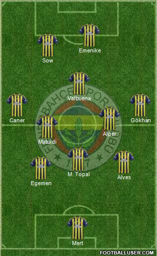 Fenerbahçe SK Formation 2014
