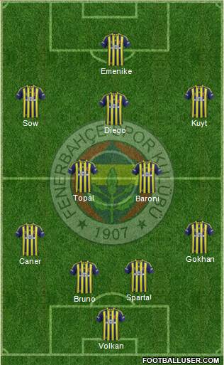 Fenerbahçe SK Formation 2014