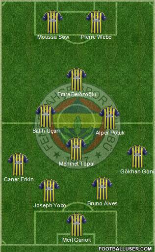 Fenerbahçe SK Formation 2014