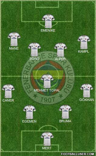 Fenerbahçe SK Formation 2014