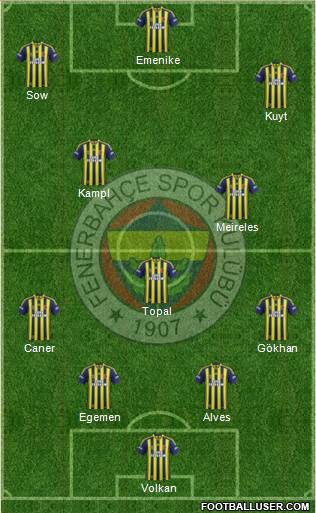Fenerbahçe SK Formation 2014