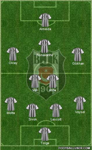 Besiktas JK Formation 2014