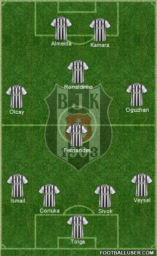 Besiktas JK Formation 2014