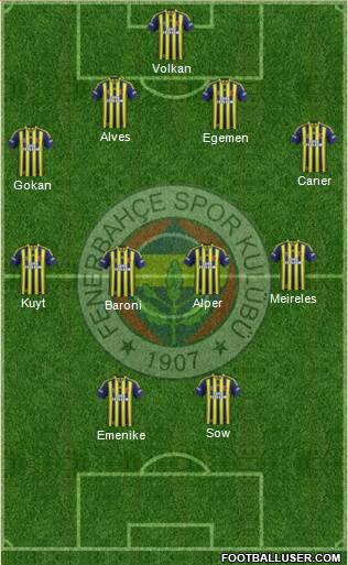 Fenerbahçe SK Formation 2014