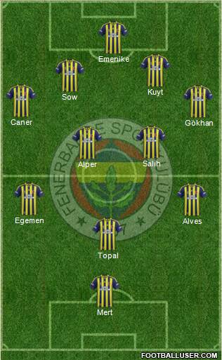 Fenerbahçe SK Formation 2014
