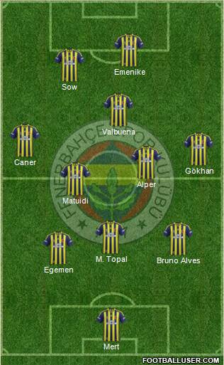 Fenerbahçe SK Formation 2014