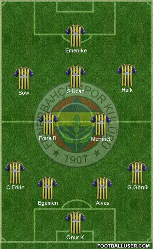 Fenerbahçe SK Formation 2014