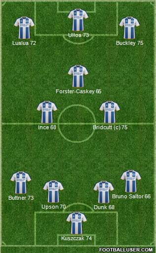 Brighton and Hove Albion Formation 2014