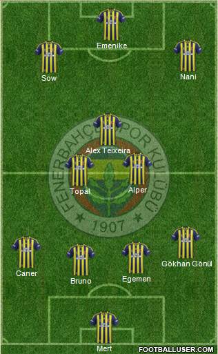 Fenerbahçe SK Formation 2014