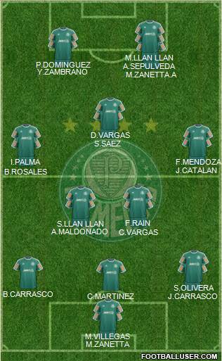 SE Palmeiras Formation 2014