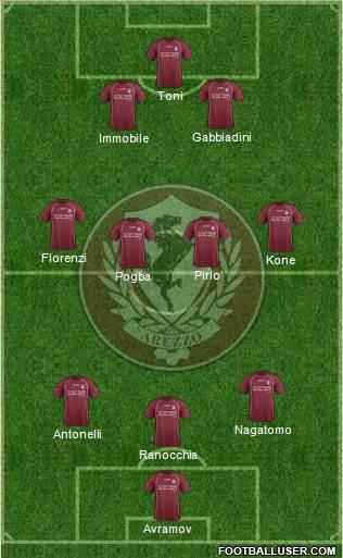 Arezzo Formation 2014