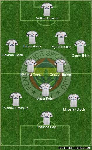 Fenerbahçe SK Formation 2014