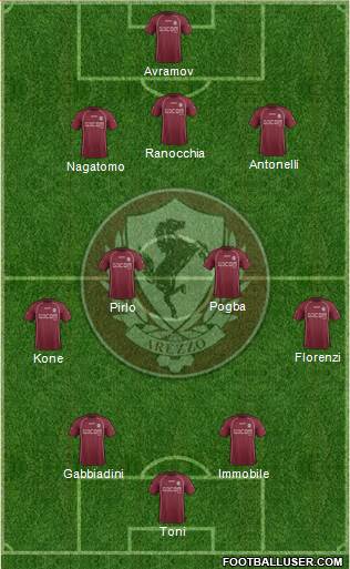 Arezzo Formation 2014