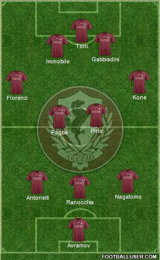Arezzo Formation 2014