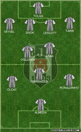 Besiktas JK Formation 2014