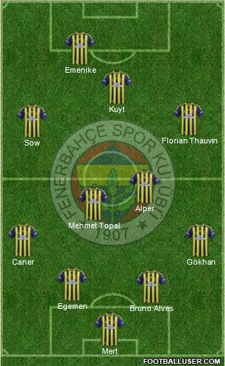 Fenerbahçe SK Formation 2014
