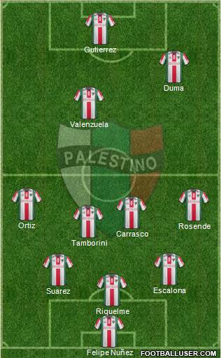 CD Palestino S.A.D.P. Formation 2014