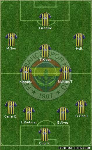 Fenerbahçe SK Formation 2014