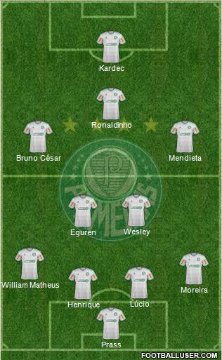 SE Palmeiras Formation 2014