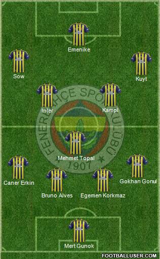 Fenerbahçe SK Formation 2014