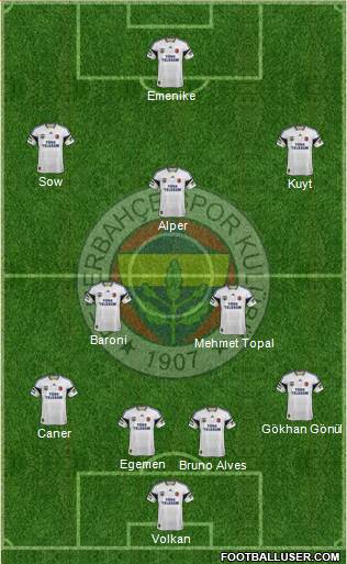 Fenerbahçe SK Formation 2014