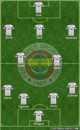Fenerbahçe SK Formation 2014