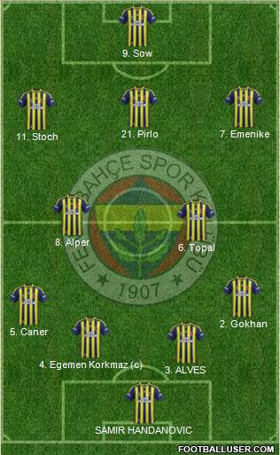 Fenerbahçe SK Formation 2014