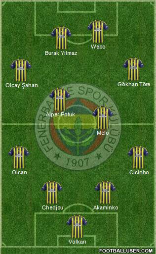 Fenerbahçe SK Formation 2014