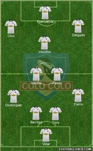 CSD Colo Colo Formation 2014
