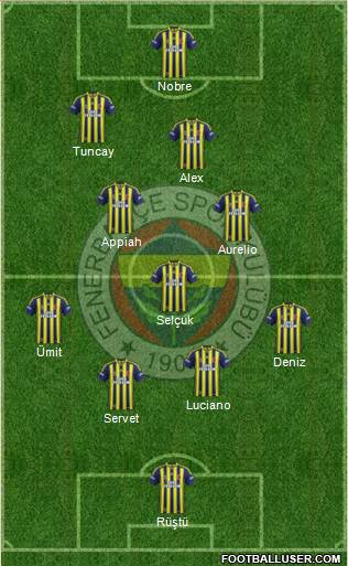 Fenerbahçe SK Formation 2014