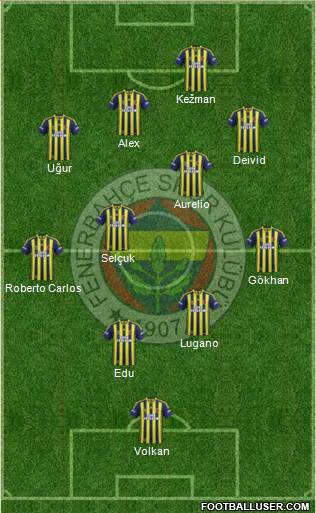 Fenerbahçe SK Formation 2014