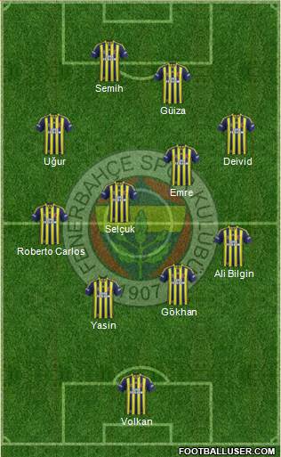 Fenerbahçe SK Formation 2014