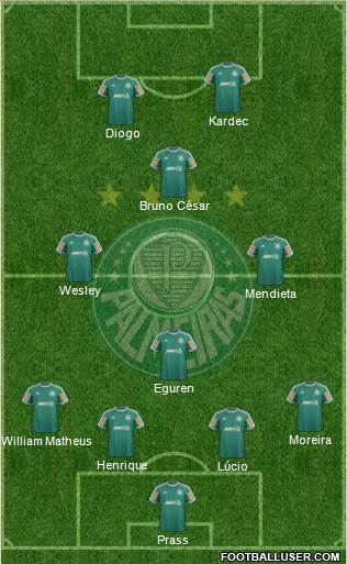SE Palmeiras Formation 2014