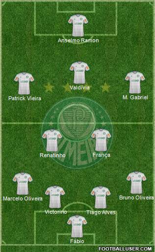 SE Palmeiras Formation 2014