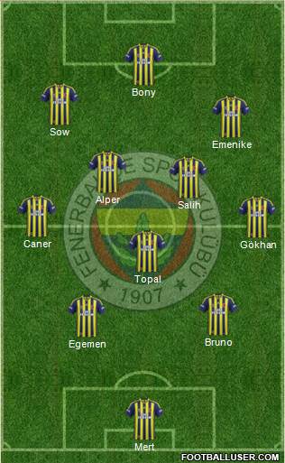 Fenerbahçe SK Formation 2014