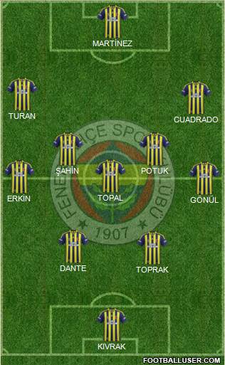 Fenerbahçe SK Formation 2014