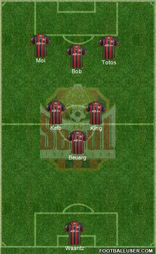 FC Seoul Formation 2014