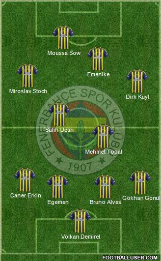 Fenerbahçe SK Formation 2014