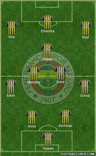 Fenerbahçe SK Formation 2014