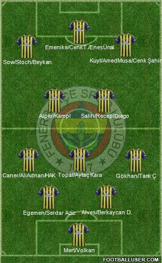 Fenerbahçe SK Formation 2014