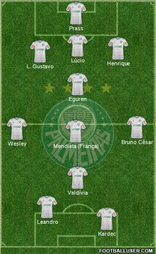 SE Palmeiras Formation 2014