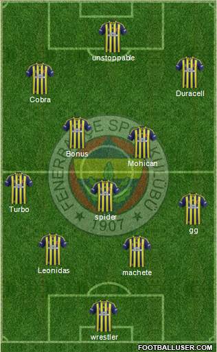 Fenerbahçe SK Formation 2014