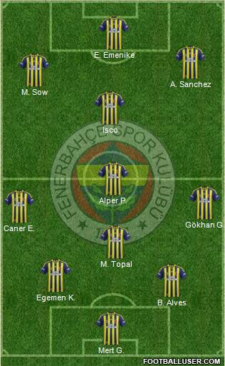 Fenerbahçe SK Formation 2014