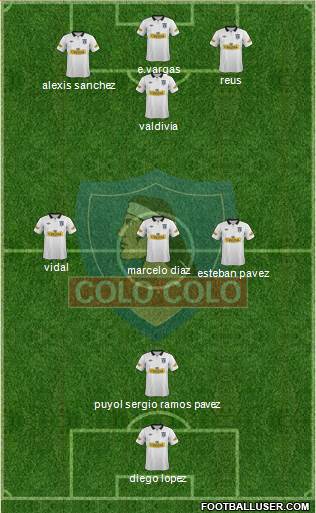 CSD Colo Colo Formation 2014