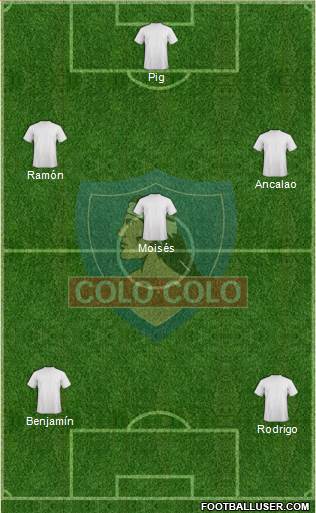 CSD Colo Colo Formation 2014