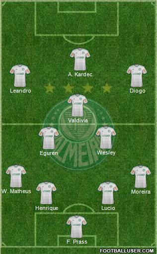 SE Palmeiras Formation 2014