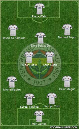 Fenerbahçe SK Formation 2014