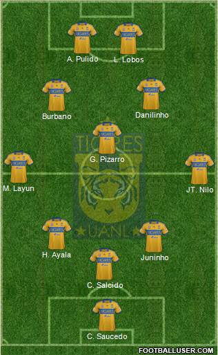 Club Universitario de Nuevo León Formation 2014