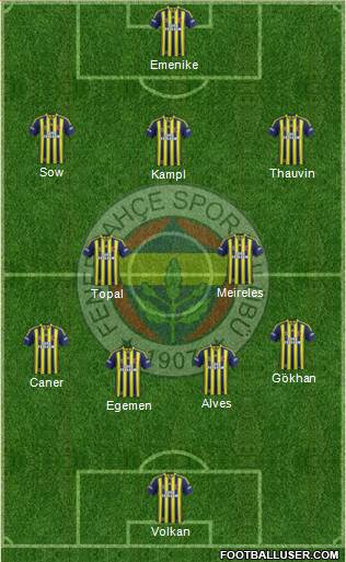 Fenerbahçe SK Formation 2014